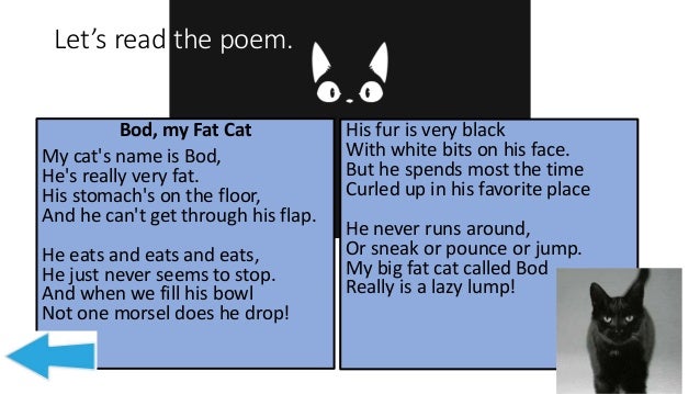 onomatopoeia cat sounds mother cat sounds